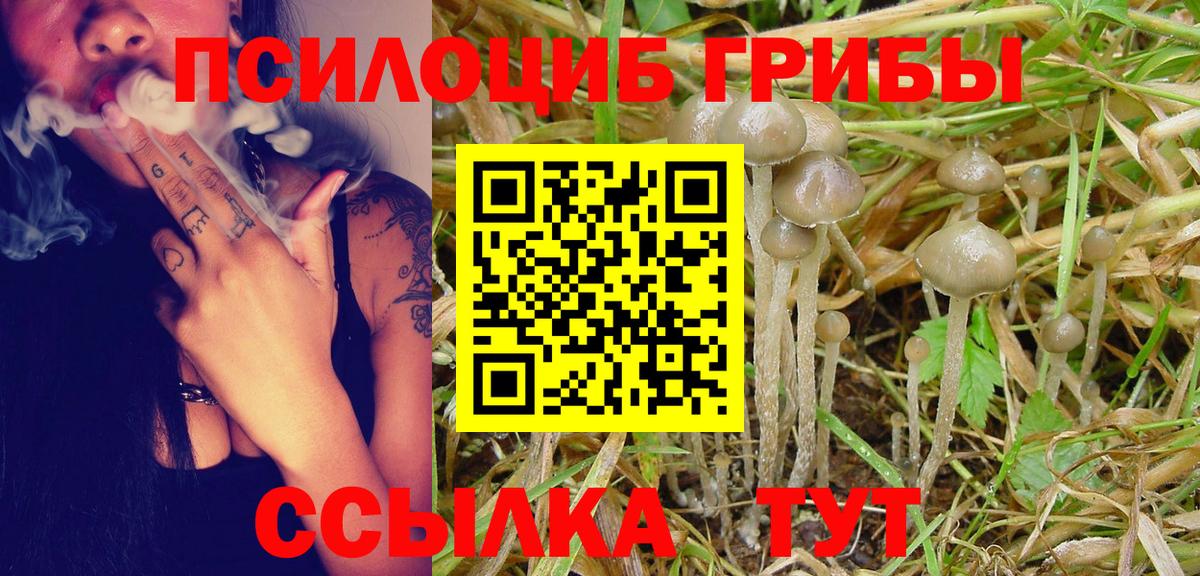 Иваново  Галлюциногенные грибы ЛСД  Галлюциногенные грибы мухоморы  Вход с VPN 